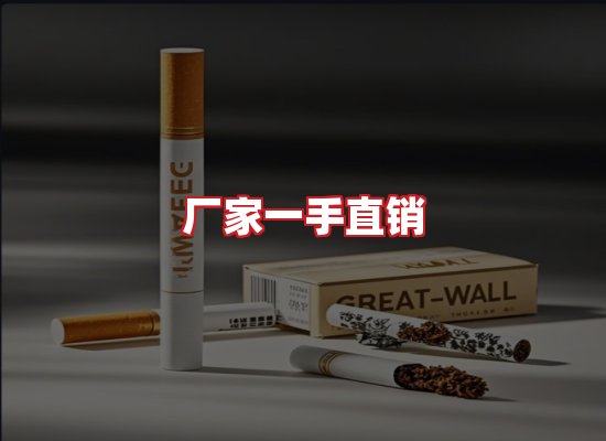 专业团队
